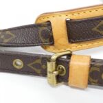 Louis_Vuitton_Monogram_Amazon_M45236_Shoulder_Bag_7