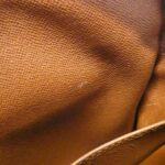 Louis_Vuitton_Monogram_Amazon_M45236_Shoulder_Bag_8