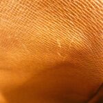 Louis_Vuitton_Monogram_Amazon_M45236_Shoulder_Bag_9