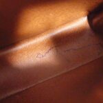 Louis_Vuitton_Monogram_Amazon_M45236_Shoulder_Bag_9