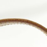 Louis_Vuitton_Monogram_Croissant_MM_M51512_Shoulder_Bag_6