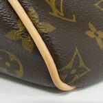 Louis_Vuitton_Monogram_Delightful_PM_Shoulder_Bag_M40352_5