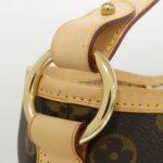 Louis_Vuitton_Monogram_Delightful_PM_Shoulder_Bag_M40352_6