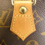 Louis_Vuitton_Monogram_Ellipse_PM_M51127_Bag_4