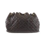 Louis_Vuitton_Monogram_Elvine_Squeeze_M95259_Shoulder_Bag_2