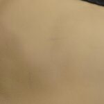 Louis_Vuitton_Monogram_Elvine_Squeeze_M95259_Shoulder_Bag_9