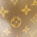 Louis_Vuitton_Monogram_Kaba_Piano_M51148_Bag_2