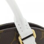 Louis_Vuitton_Monogram_LV_Match_Ellipse_BB_M20752_手袋_3