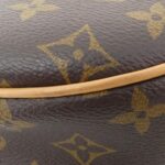 Louis_Vuitton_Monogram_Loop_M81098_肩背袋_2