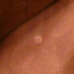 Louis_Vuitton_Monogram_Macassar_Drake_M40636_Shoulder_Bag_9