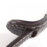 Louis_Vuitton_Monogram_Mini_Lin_Sologne_30cm_M95227_Shoulder_Bag_6