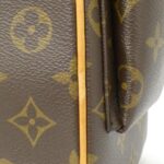 Louis_Vuitton_Monogram_Multipli_Cite_M51162_Bag_5