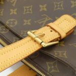 Louis_Vuitton_Monogram_Multipli_Cite_M51162_Bag_6