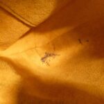 Louis_Vuitton_Monogram_Musette_Tango_M51388_Shoulder_Bag_7