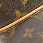 Louis_Vuitton_Monogram_Nile_M45244_Shoulder_Bag_3