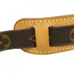 Louis_Vuitton_Monogram_Nile_M45244_Shoulder_Bag_8