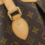Louis_Vuitton_Monogram_Palermo_PM_M40145_Bag_6