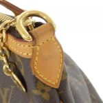 Louis_Vuitton_Monogram_Palermo_PM_M40145_Bag_7