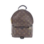 Louis_Vuitton_Monogram_Palm_Springs_Backpack_PM_M41560_Backpack_1
