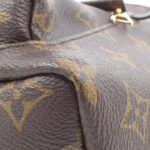 Louis_Vuitton_Monogram_Palm_Springs_Backpack_PM_M41560_Backpack_3