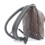 Louis_Vuitton_Monogram_Palm_Springs_Backpack_PM_M41560_Backpack_7