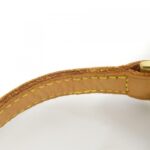 Louis_Vuitton_Monogram_Panda_Trotter_M51241_Shoulder_Bag_4