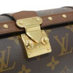Louis_Vuitton_Monogram_Papillon_Trunk_Shoulder_Bag_M57835_4
