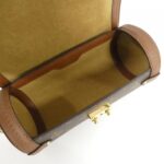 Louis_Vuitton_Monogram_Papillon_Trunk_Shoulder_Bag_M57835_8