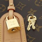 Louis_Vuitton_Monogram_Petit_Palais_PM_M45900_手袋_2