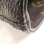 Louis_Vuitton_Monogram_Raspail_MM_M40607_Bag_2