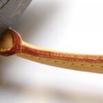 Louis_Vuitton_Monogram_Raspail_MM_M40607_Bag_6