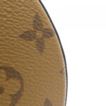 Louis_Vuitton_Monogram_Reverse_Cannes_M43986_Bag_3