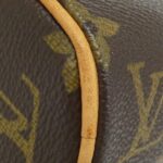 Louis_Vuitton_Monogram_Sonatine_M51902_手袋_2