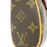 Louis_Vuitton_Monogram_Sonatine_M51902_手袋_3