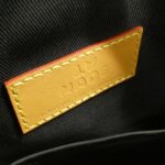 Louis_Vuitton_Monogram_Stripe_LV_Squared_Landeau_Messenger_M45968_Shoulder_Bag_10