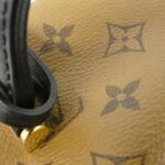 Louis_Vuitton_Monogram_Vanity_PM_M45165_Bag_4