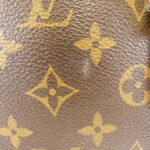 Louis_Vuitton_Monogram_Vavin_PM_M51172_Bag_2