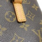 Louis_Vuitton_Monogram_Vavin_PM_M51172_Bag_3
