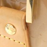 Louis_Vuitton_Vernis_Houston_M91340_Bag_3