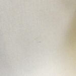 Louis_Vuitton_Vernis_Roxbury_Drive_M91374_Bag_8