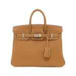 [Unused]_Hermès_Birkin_25cm_041344CK_Bag_1
