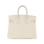 [Unused_Item]_Hermès_Birkin_25cm_041344CC_Bag_2
