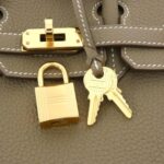 [Unused_Item]_Hermès_Birkin_25cm_041344CC_Bag_4