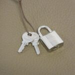 [Unused_Item]_Hermès_Picotin_Lock_MM_060991CK_Bag_3