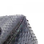 標題：Chanel_69900_肩背袋_2