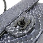 標題：Chanel_69900_肩背袋_4