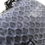 標題：Chanel_69900_肩背袋_6